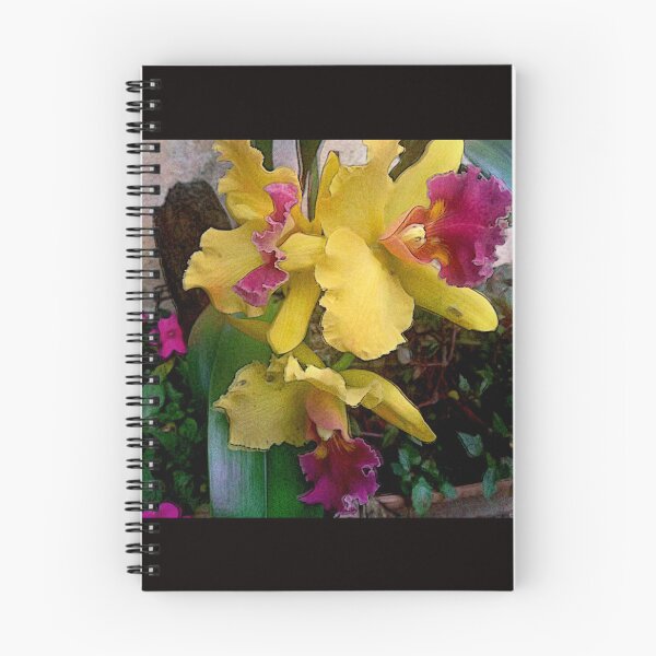 Item preview, Orchid in Modern Contrast designed and sold by Helios Be. Lavsh.
