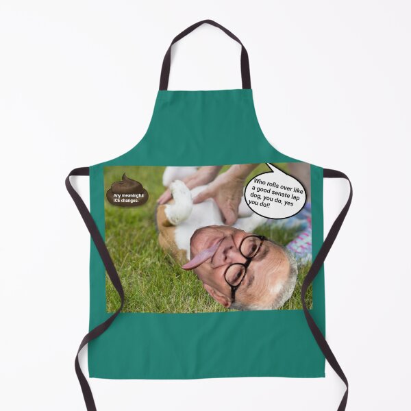 Item preview, Please retire and go away old Chuck Schumer designed and sold by reallypathetic.