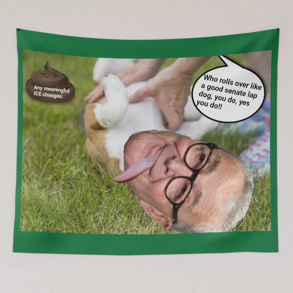 Item preview, Please retire and go away old Chuck Schumer designed and sold by reallypathetic.