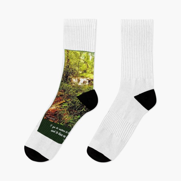 Item preview, Waterfall, Forest Interior, Pocono Mountains, Pennsylvania designed and sold by AMacGPhilly.