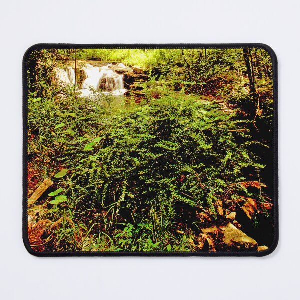 Item preview, Waterfall, Forest Interior, Pocono Mountains, Pennsylvania designed and sold by AMacGPhilly.