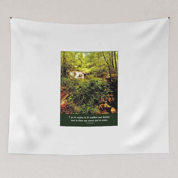 Item preview, Waterfall, Forest Interior, Pocono Mountains, Pennsylvania designed and sold by AMacGPhilly.