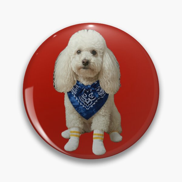 Item preview, White poodle with blue outfit details designed and sold by HilDesign.