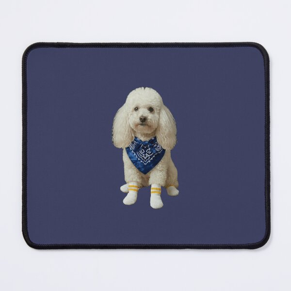 Item preview, White poodle with blue outfit details designed and sold by HilDesign.