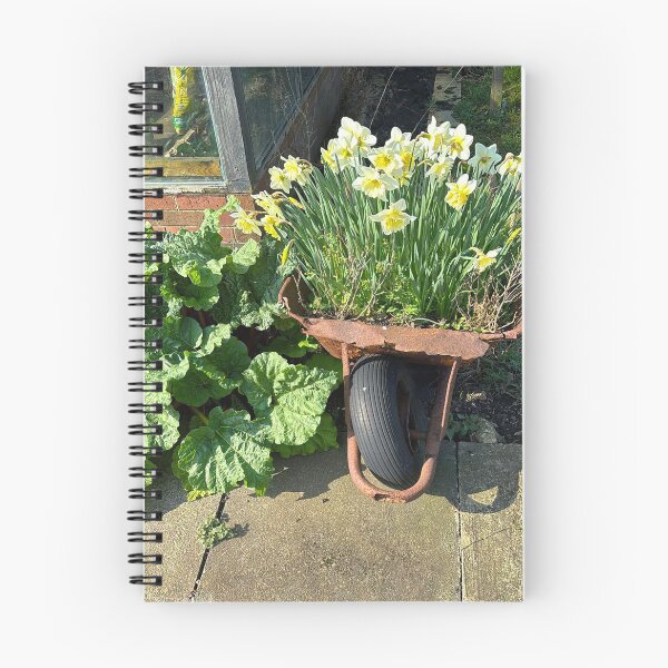 Item preview, Rusty Wheelbarrow full of Flowering Daffodils designed and sold by Violaman.
