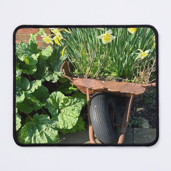 Item preview, Rusty Wheelbarrow full of Flowering Daffodils designed and sold by Violaman.