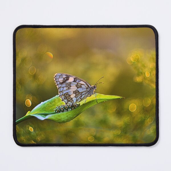 Item preview, The Golden Guard – Marbled White Butterfly designed and sold by SoulArchitect.