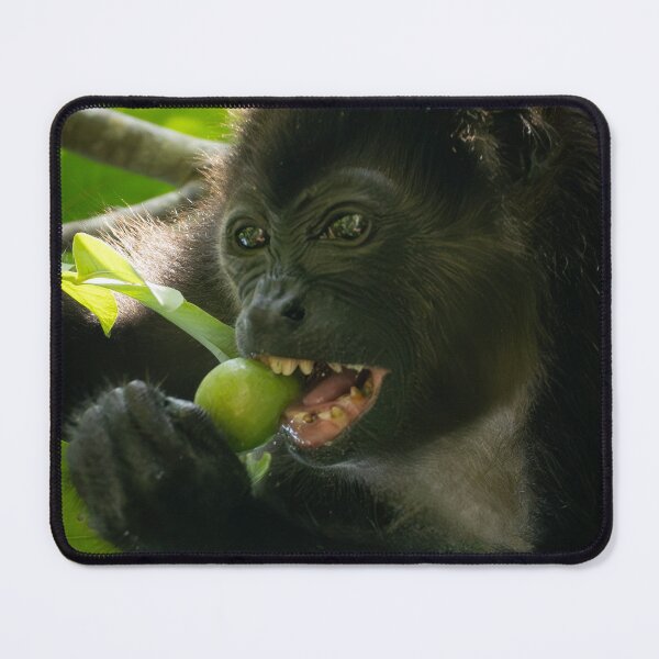 Item preview, Bad Idea Monkey Meme Funny Capuchin Reaction Animal designed and sold by WildFrameNature.