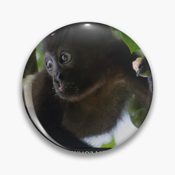 Item preview, Who Me Monkey Meme Funny Innocent Reaction Howler designed and sold by WildFrameNature.