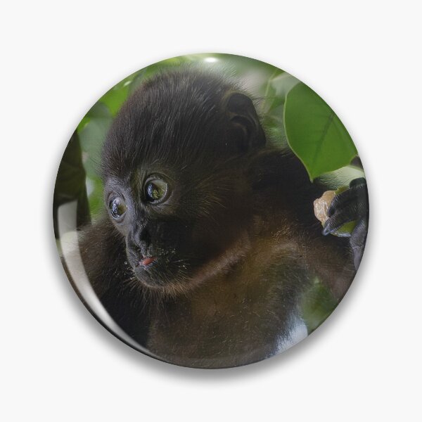Item preview, Cute Howler Monkey Eating Fruit Tropical Wildlife Photo designed and sold by WildFrameNature.
