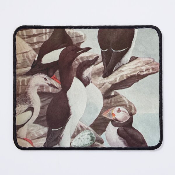 Item preview, Birds 1917 No 2 designed and sold by bloomingvine.