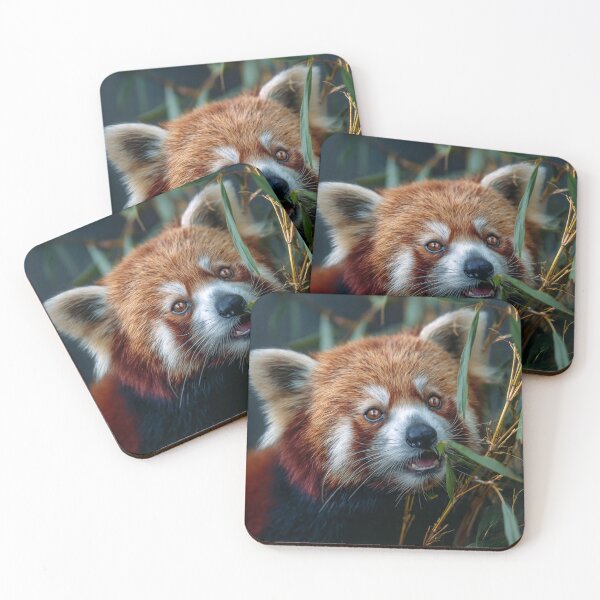 Item preview, Red Panda designed and sold by Savannah Gibbs.