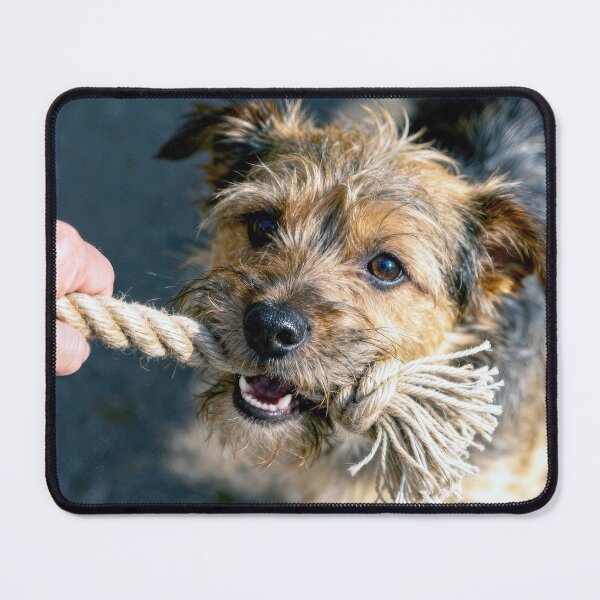 Item preview, Dog Tug of War With Rope designed and sold by Maria Dryfhout.