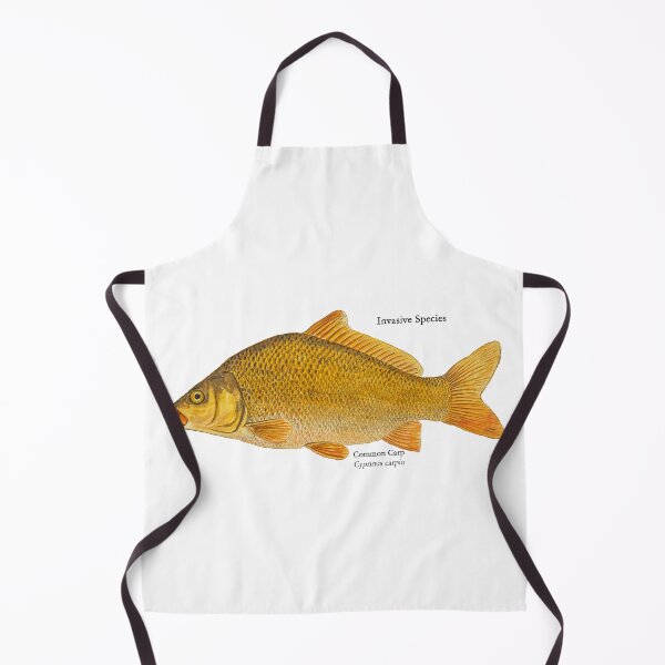 Item preview, Common Carp Painting designed and sold by Stephen Emms.