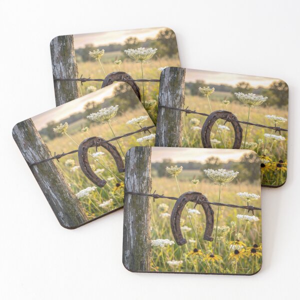 Item preview, Horseshoe Hanging Over a Rusty Barbed Wire Fence designed and sold by Maria Dryfhout.