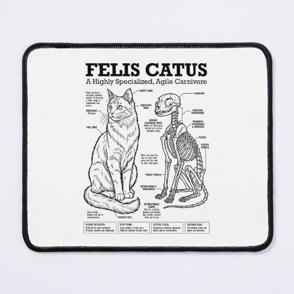 Item preview, Cat Anatomy Felis Catus Cats Skeleton Funny Science Diagram designed and sold by GrandeDuc.