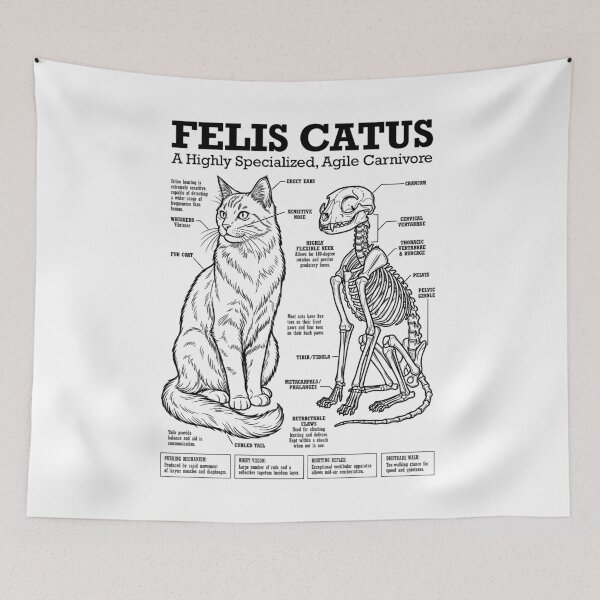 Item preview, Cat Anatomy Felis Catus Cats Skeleton Funny Science Diagram designed and sold by GrandeDuc.