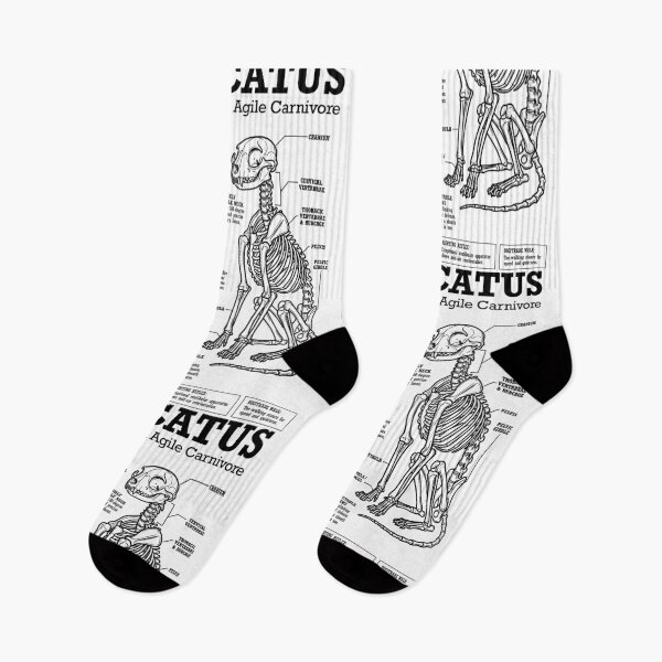 Item preview, Cat Anatomy Felis Catus Cats Skeleton Funny Science Diagram designed and sold by GrandeDuc.