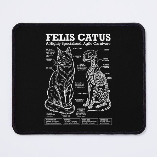 Item preview, Cat Anatomy Felis Catus Cats Skeleton Funny Science Diagram designed and sold by GrandeDuc.