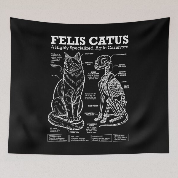 Item preview, Cat Anatomy Felis Catus Cats Skeleton Funny Science Diagram designed and sold by GrandeDuc.