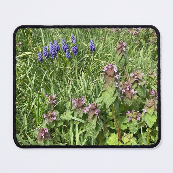 Item preview, Springtime in the Village  designed and sold by Abeink1030.