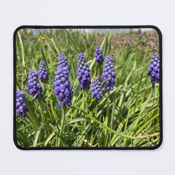 Item preview, Springtime in the Village 2 designed and sold by Abeink1030.