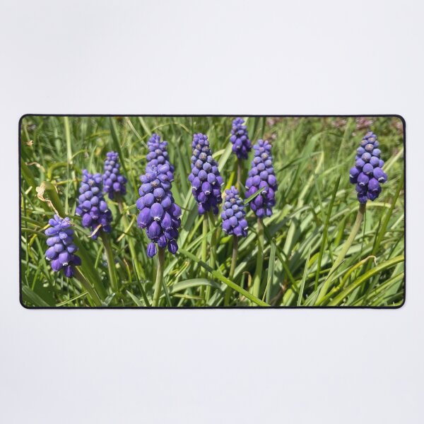 Item preview, Springtime in the Village 2 designed and sold by Abeink1030.