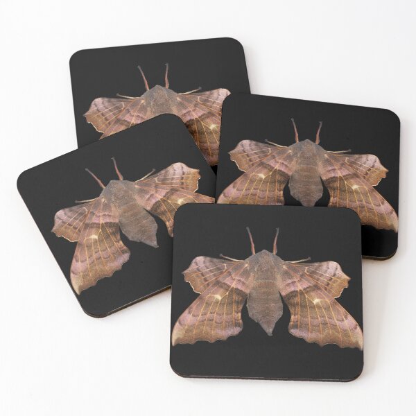 Item preview, Poplar Hawk-Moth designed and sold by Murph's Images.