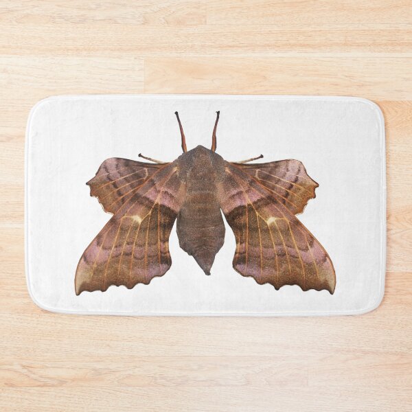 Item preview, Poplar Hawk-Moth designed and sold by Murph's Images.
