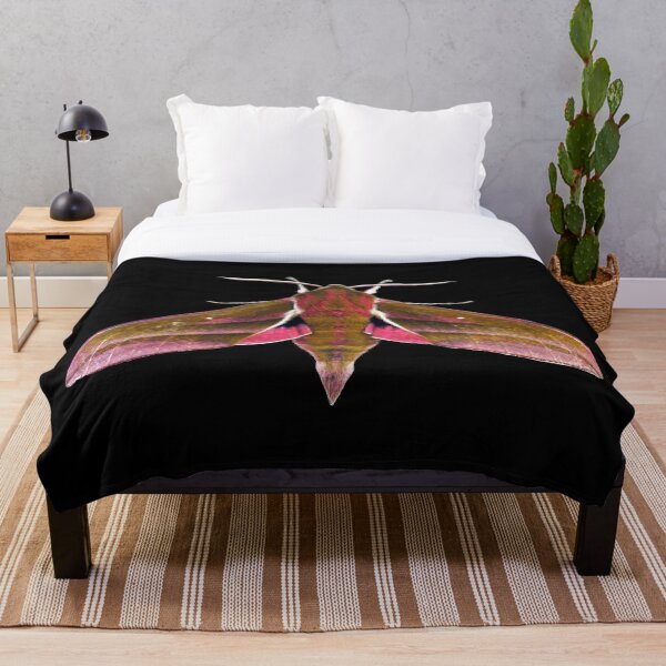 Item preview, Elephant Hawk Moth designed and sold by Murph's Images.