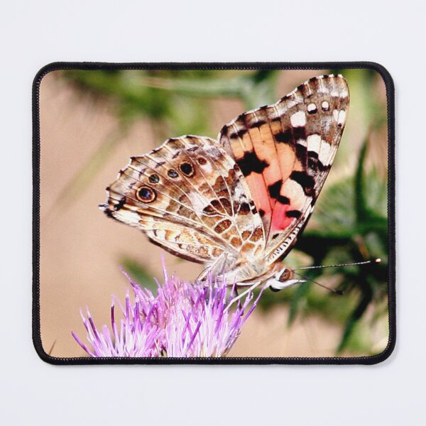 Item preview, Painted Lady designed and sold by Murph's Images.