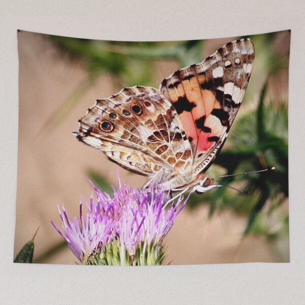 Item preview, Painted Lady designed and sold by Murph's Images.