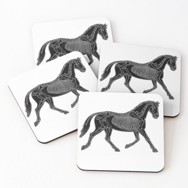 Item preview, Horse Anatomy designed and sold by Dr. Leigh Designs.