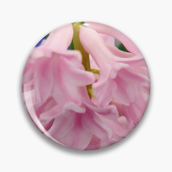Artikelvorschau, Nahaufnahme von rosa Hyazinthe und Blüte entworfen und verkauft von Raineylanes.
