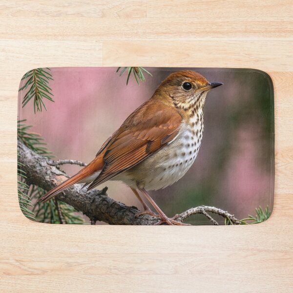 Item preview, Hermit Thrush on a Spruce Branch designed and sold by Tridentulus.