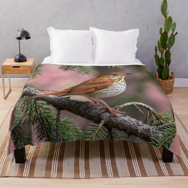 Item preview, Hermit Thrush on a Spruce Branch designed and sold by Tridentulus.