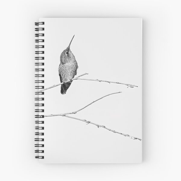 Item preview, Hummer in Black, White and Gray designed and sold by CarolM.