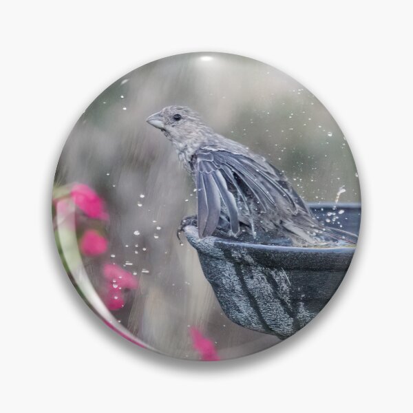 Item preview, House Finch Bathing designed and sold by CarolM.