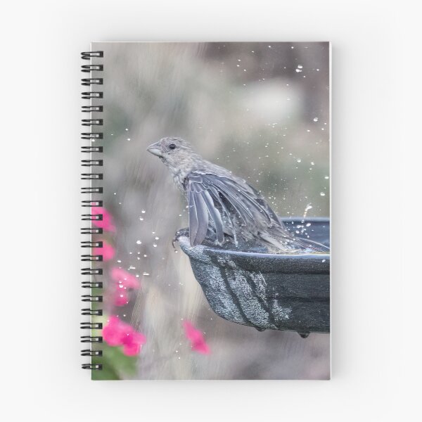 Item preview, House Finch Bathing designed and sold by CarolM.