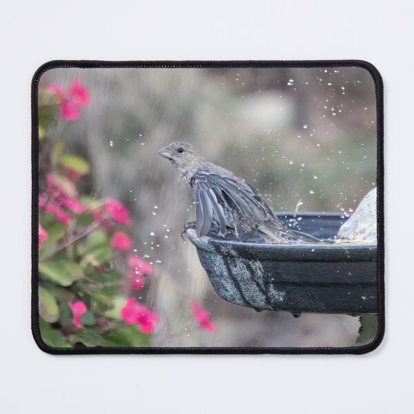 Item preview, House Finch Bathing designed and sold by CarolM.