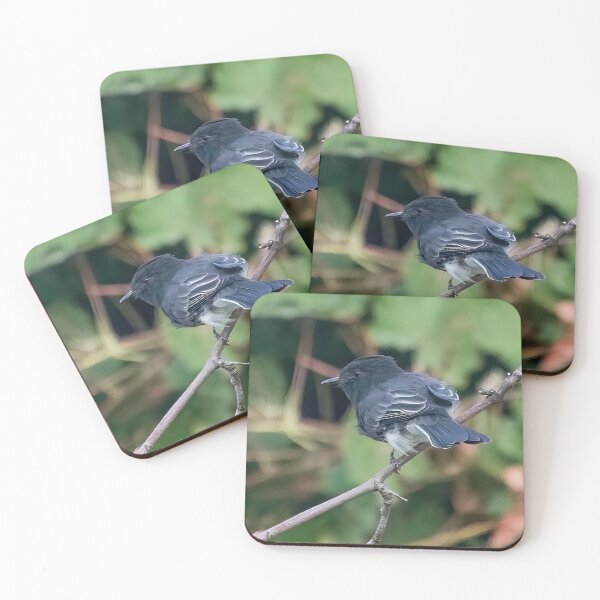 Item preview, Black Phoebe Bird designed and sold by CarolM.