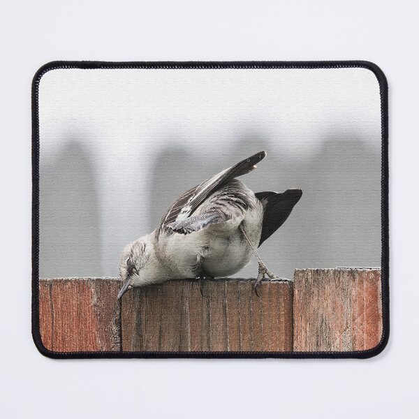 Item preview, Head Rubs on the Fence Feel Good  designed and sold by CarolM.