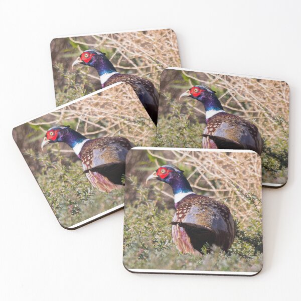 Item preview, Ring Necked Pheasant designed and sold by CarolM.