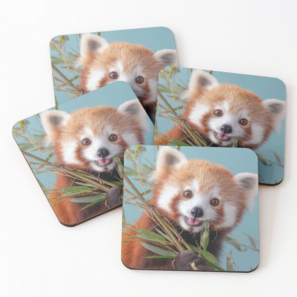Item preview, Red Panda designed and sold by Savannah Gibbs.
