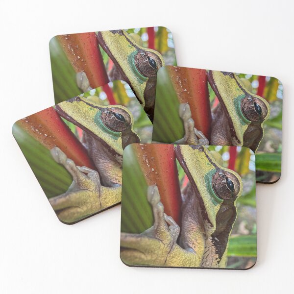 Item preview, Masked beauty’s from Costa Rican coast  designed and sold by NelsonChavezR.