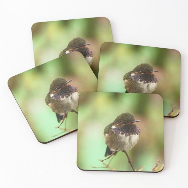 Item preview, Jewel of highlands, Vulcano hummingbird. designed and sold by NelsonChavezR.
