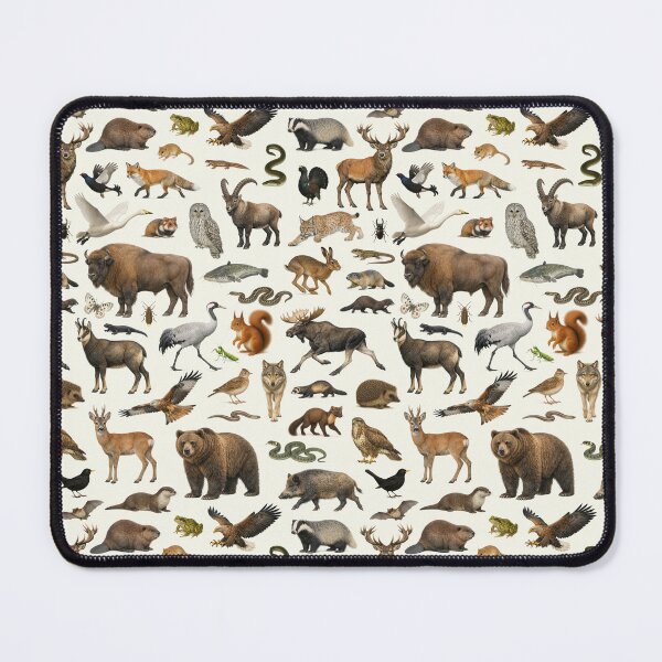 Item preview, Animals of Central Europe Retro Style Identification Chart designed and sold by kakarikihill.