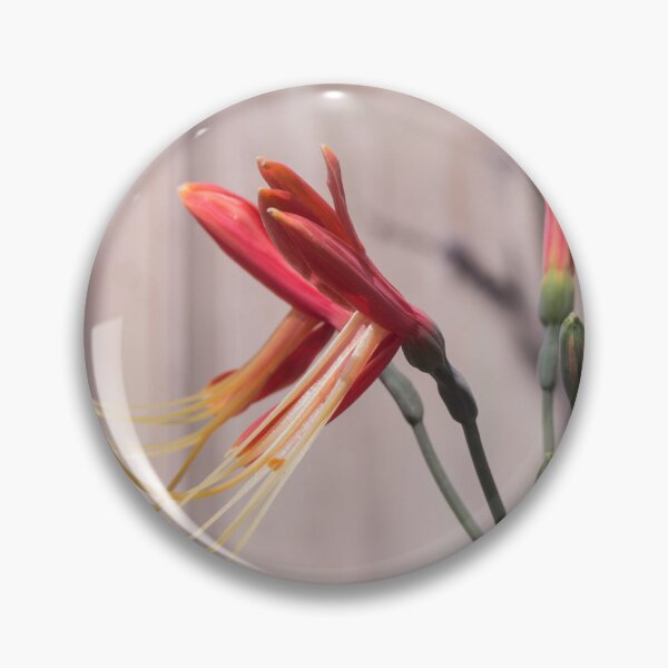 Item preview, Peruvian lily or Queen lily designed and sold by ROSE ANN BANILAR.