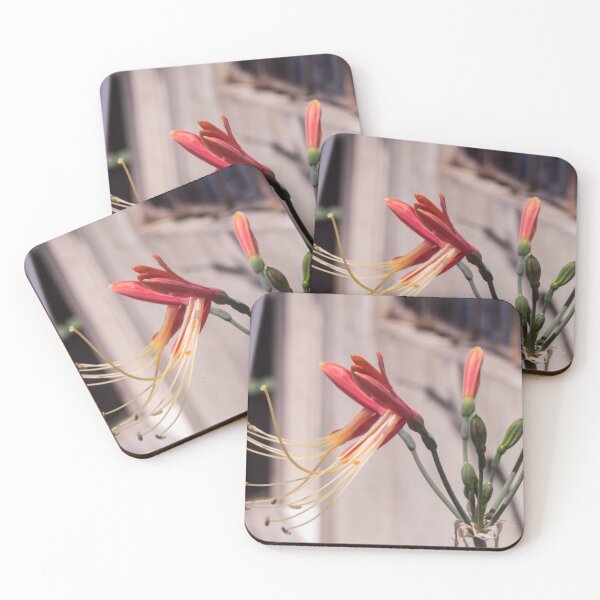 Item preview, Peruvian lily or Queen lily designed and sold by ROSE ANN BANILAR.
