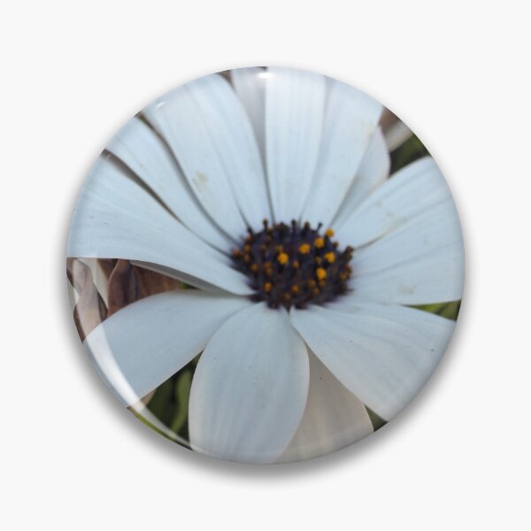 Item preview, Soft and Pure designed and sold by Betsy Phillips.